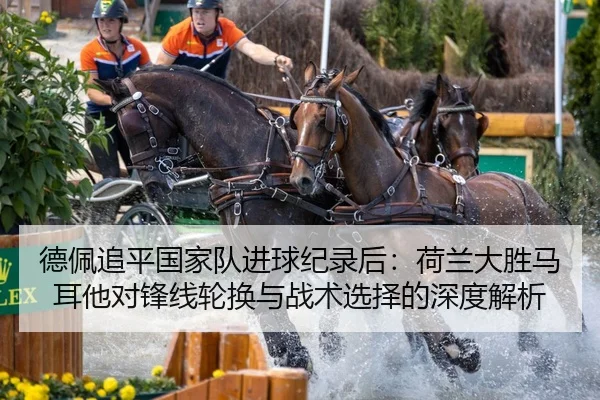 de-pei-zhui-ping-guo-jia-dui-jin-qiu-ji-lu-hou-he-lan-da-sheng-ma-er-ta-dui-feng-xian-lun-huan-yu-zhan-shu-xuan-ze-de-2-375.jpg
